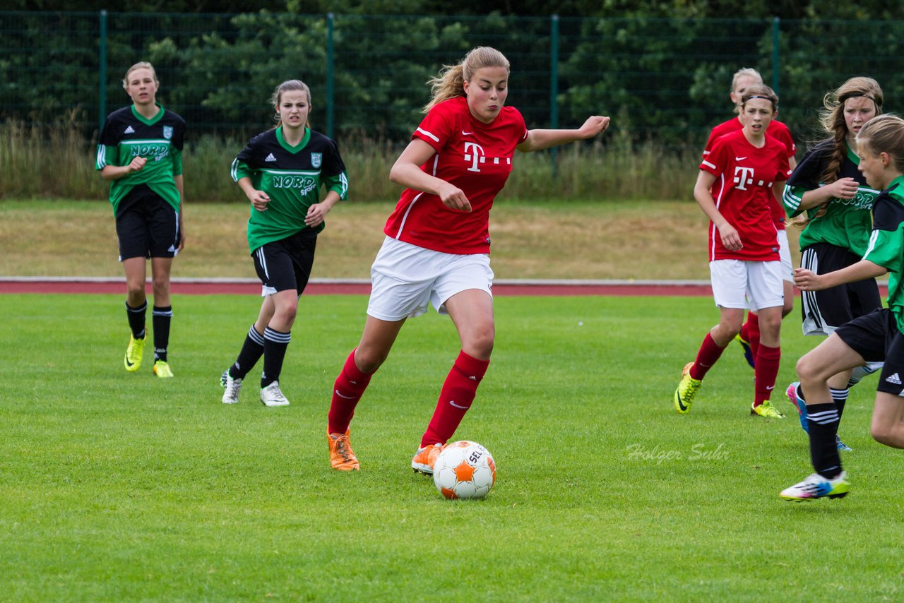 Bild 167 - C-Juniorinnen Landesmeister Finale SV Wahlstedt - TuRa Meldorf : Ergebnis: 1:4